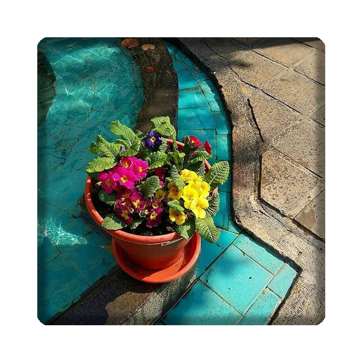 کاشی مبین ایده مدل گل kh10 کد 538