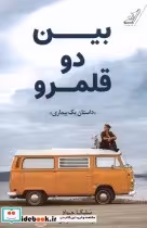 قیمت و خرید کتاب بین دو قلمرو اثر سلیکا جواد | ایده بوک