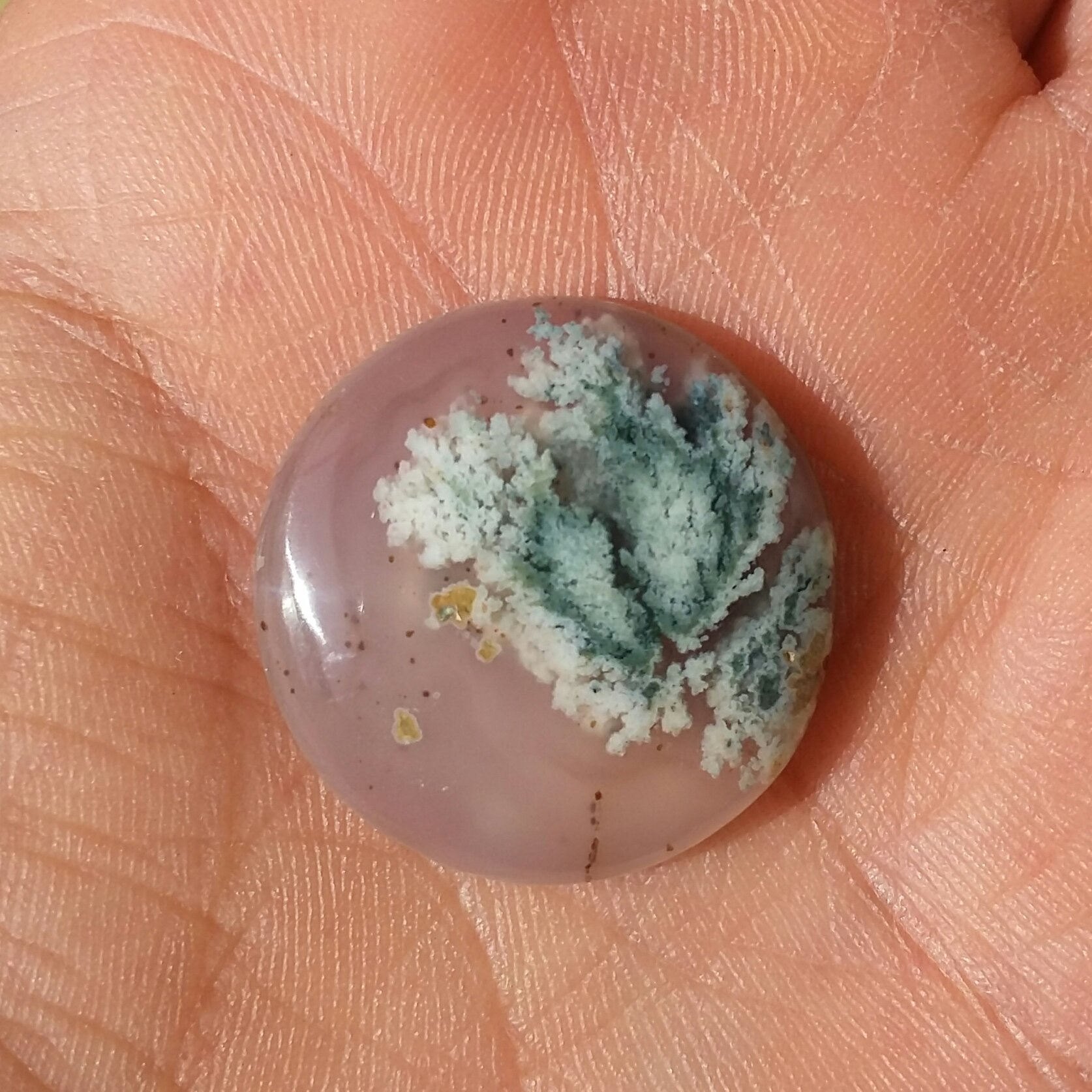 نگین شجر شکوفه بسیار زیبا و خاص با زمینه سوسنی
کاملا طبیعی