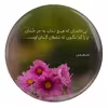 پیکسل مدل شعر سعدی S12152