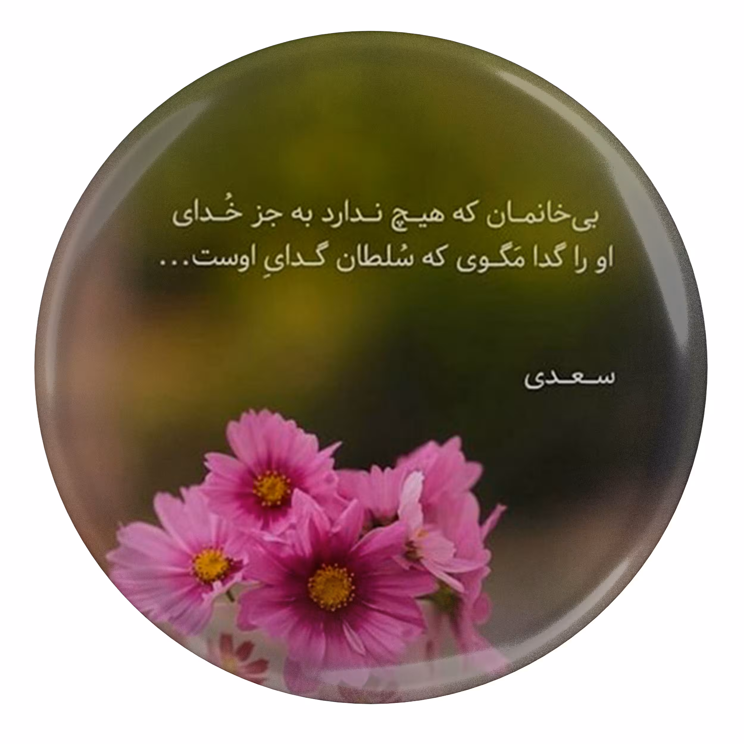پیکسل مدل شعر سعدی S12152