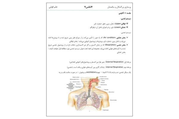 جزوه پرستاری بزرگسالان و سالمندان(تنفس) - کتابخانه مجازی واتیکان