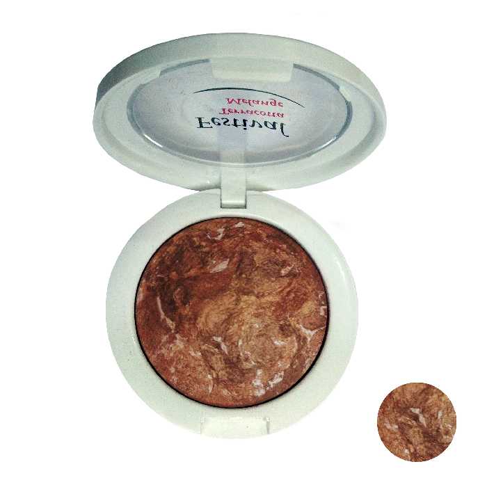  رژگونه فستیوال شماره 505