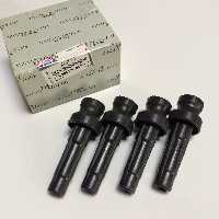 وایرشمع زانتیا