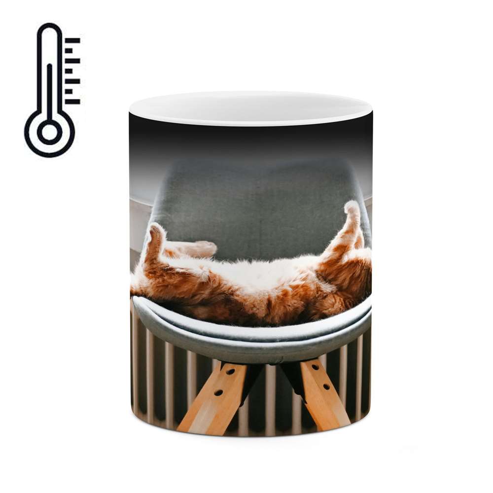 ماگ حرارتی کاکتی طرح گربه مدل mgh14116