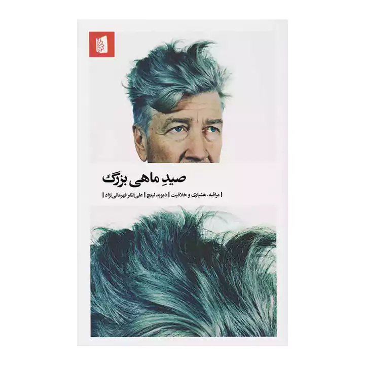 کتاب صید ماهی بزرگ