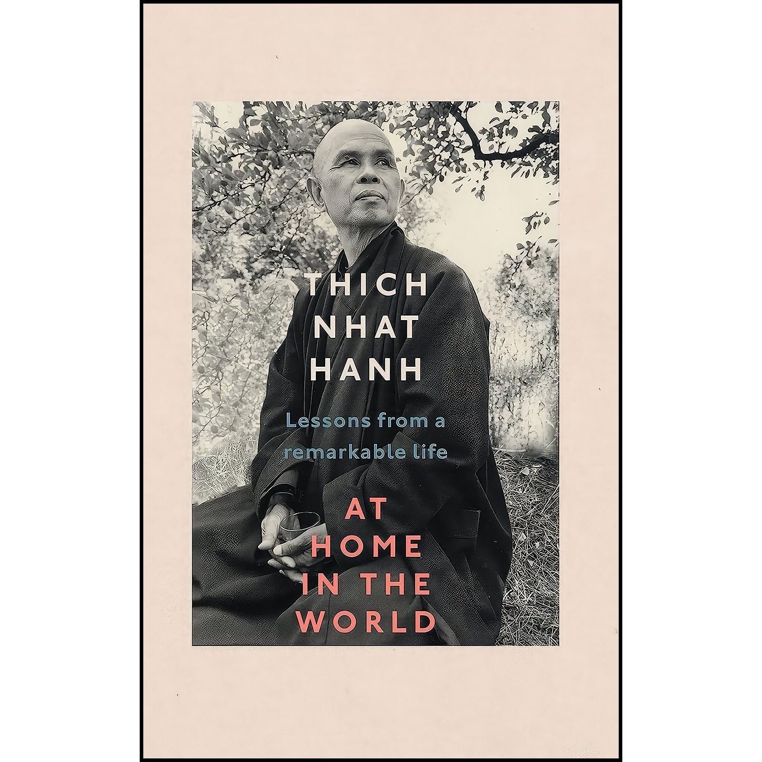 کتاب زبان اصلی At Home In The World اثر Thich Nhat Hanh