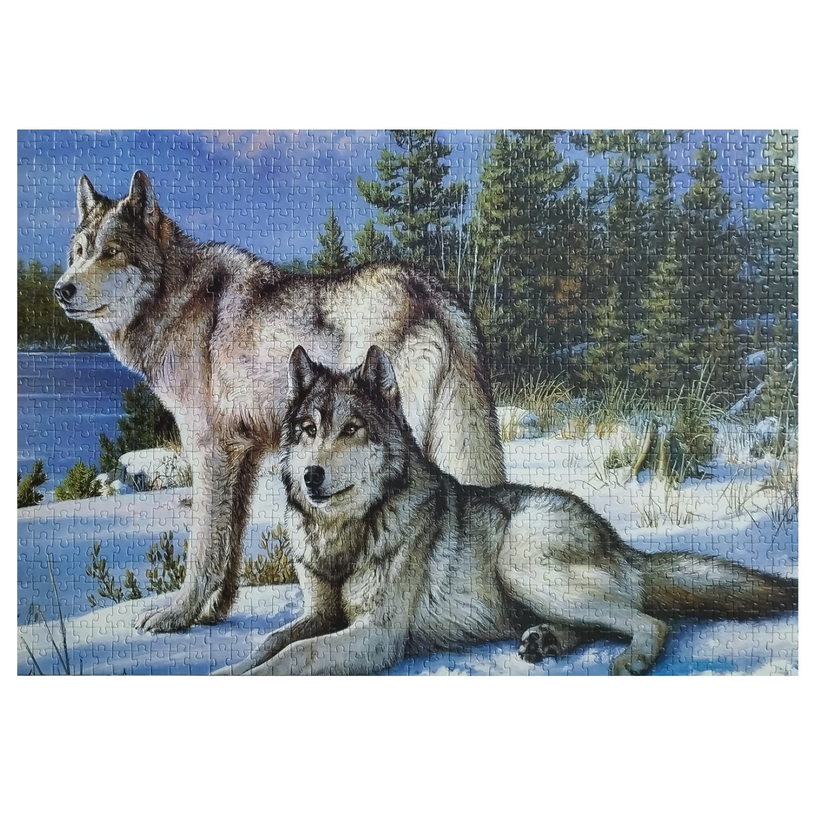  پازل هزار تکه  گرگ و کوهستان ( آماده و ساخته شده)