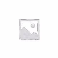 دیاگ لانچ تبلتی مدلCRP919MAX