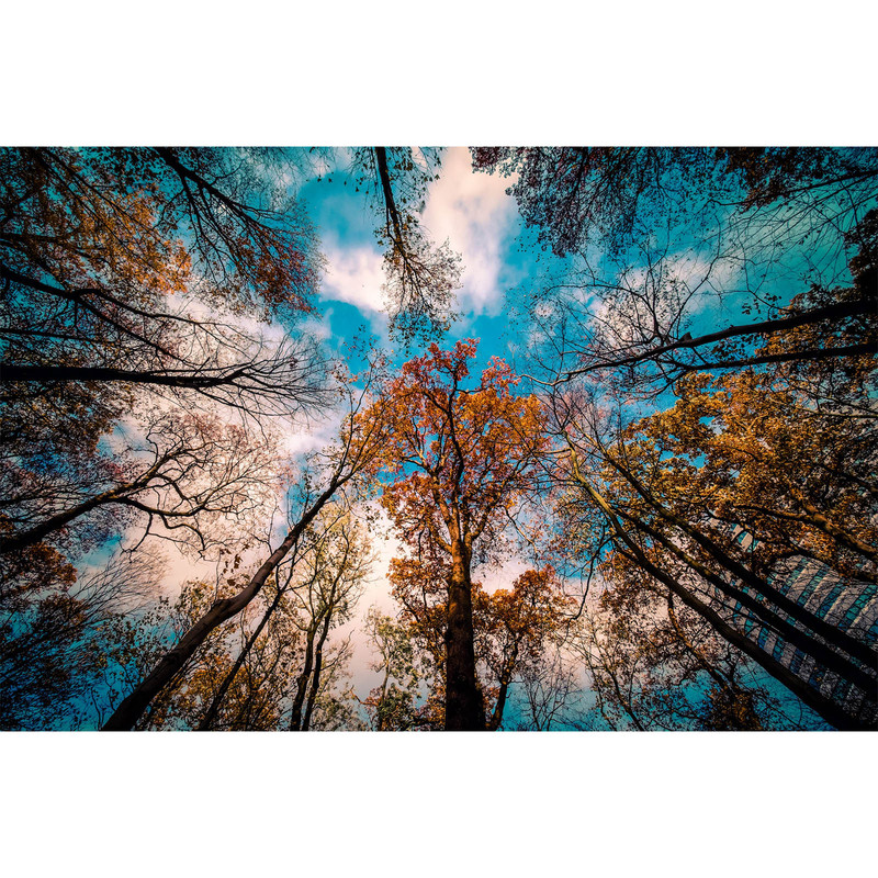 تابلو شاسی طرح طبیعت ارامش بخش کد 231 | دنیای قاب