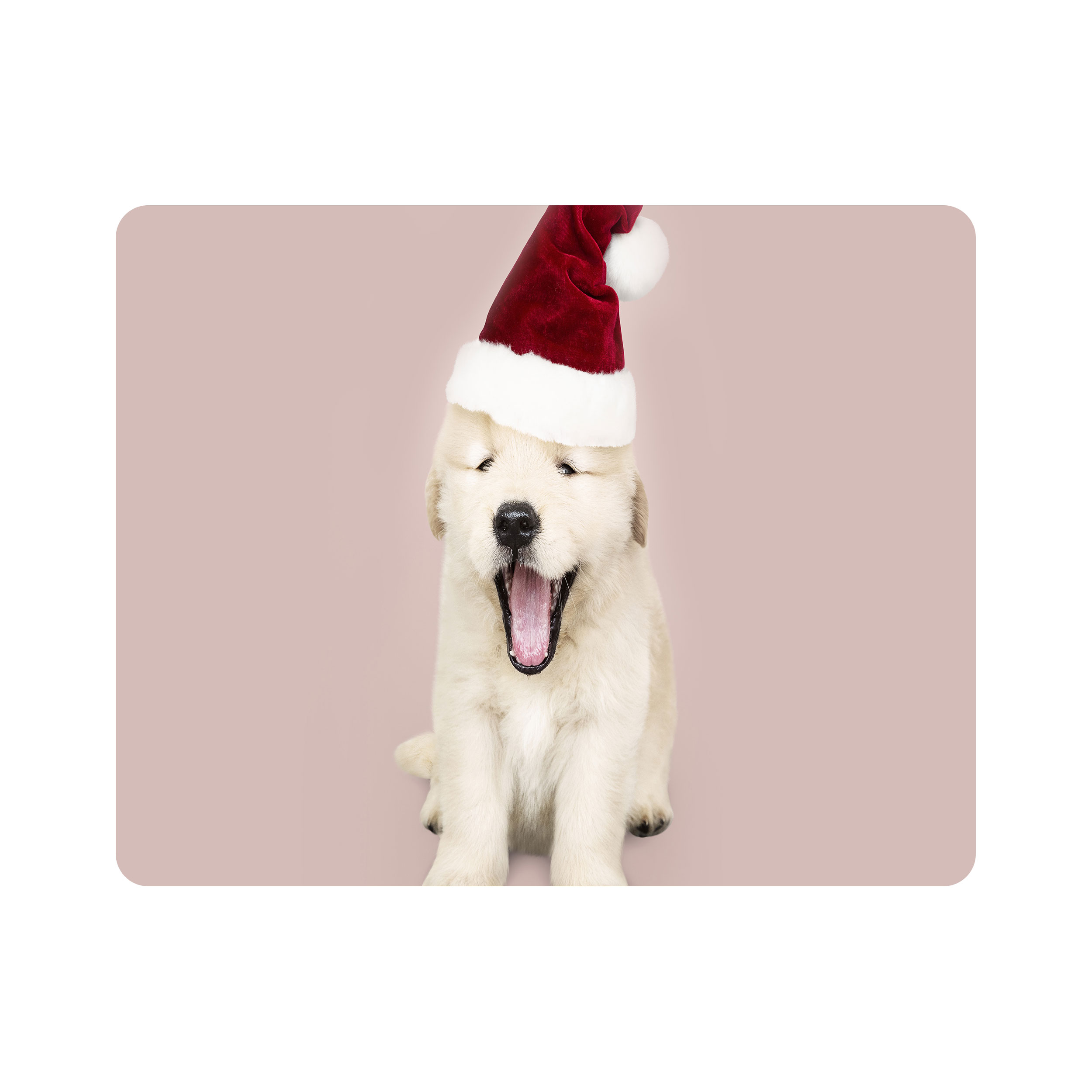 ماوس پد اطلس آبی طرح سگ مدل T8009