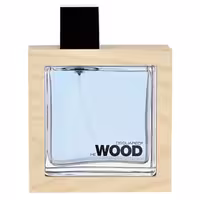 ادو تویلت مردانه DSQUARED² He Wood Ocean Wet Wood حجم 100 میلی لیتر