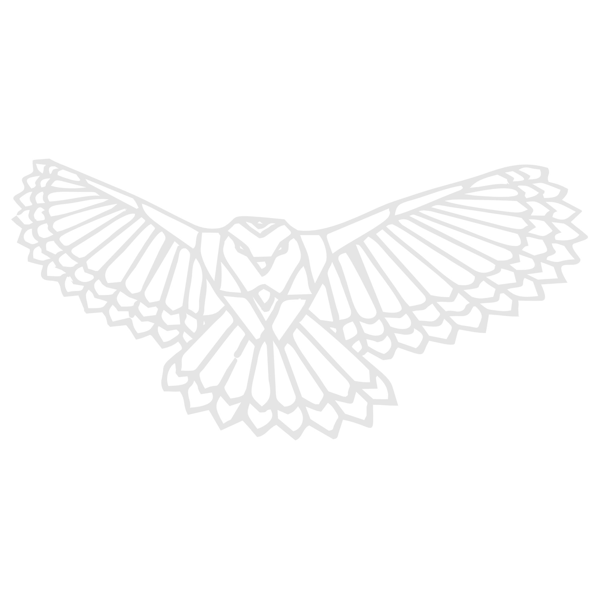 بدنه خودرو ونگارد طرح عقاب کد 02