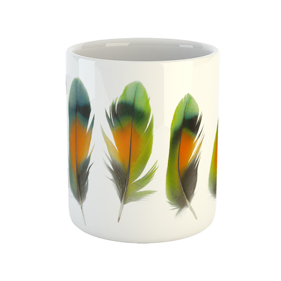 ماگ طرح پر پرنده رنگی