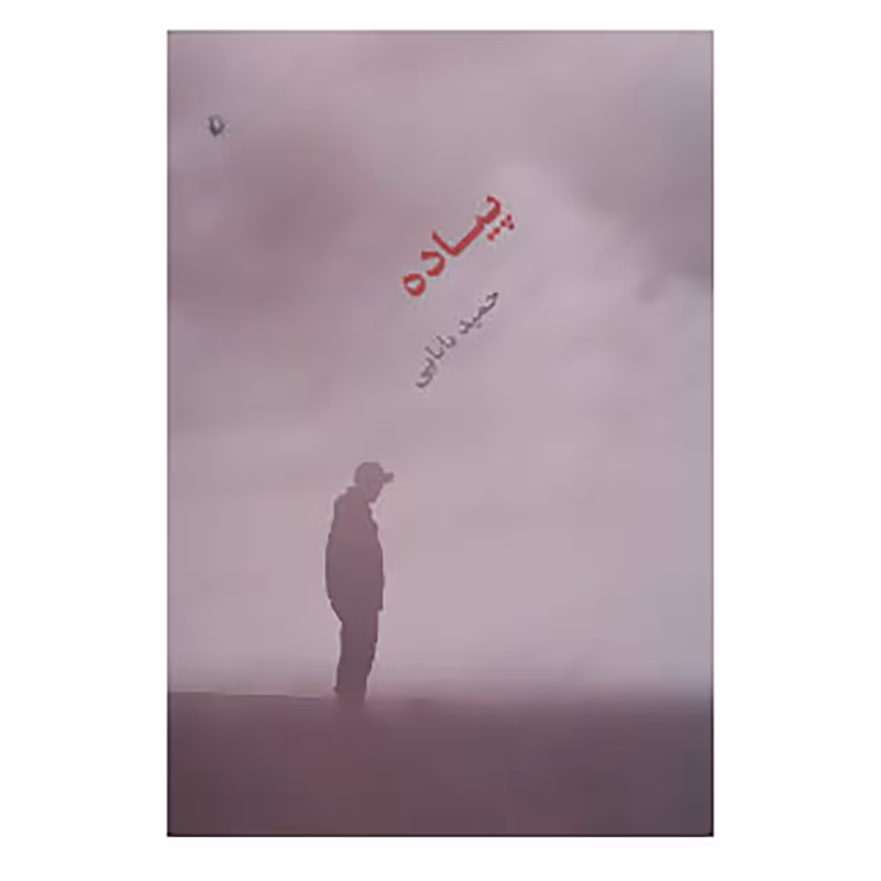 کتاب پیاده اثر حمید بابایی