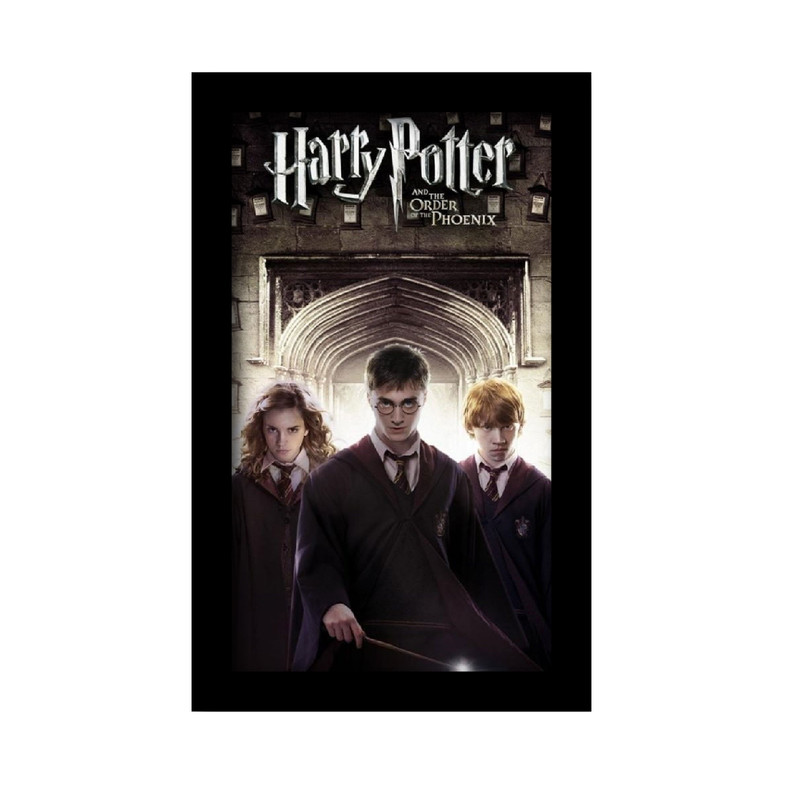 تابلو مدل هری پاتر کد km-01014 | دنیای قاب