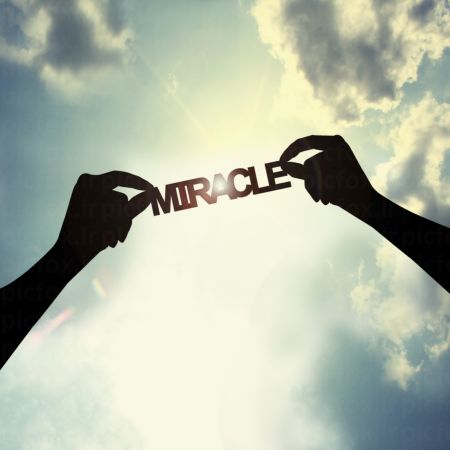 خرید و دانلود عکس Hand-Part-2 کد 24968 | پیک فاکس | Pic Fox