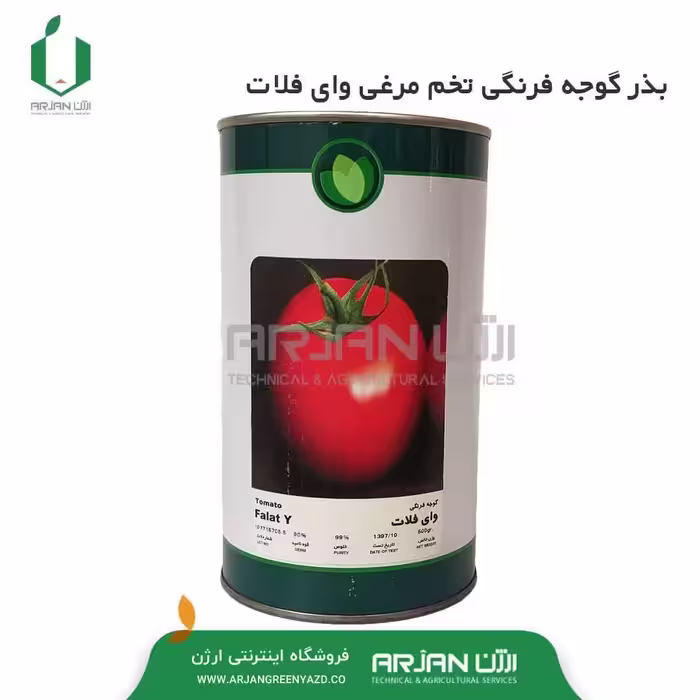 بذر گوجه فرنگی تخم مرغی واریته وای فلات ( قوطی 500 گرمی ) 