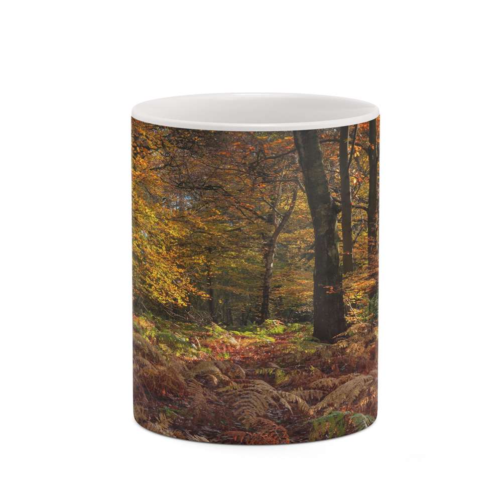 ماگ کاکتی طرح منظره پاییزی مدل mgh18578