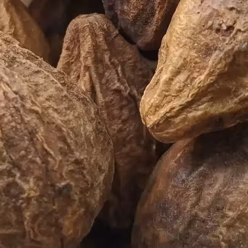 359 گرم هلیله زرد هلیله کابلی شجره شعیر هندی اهلیج کابلی 