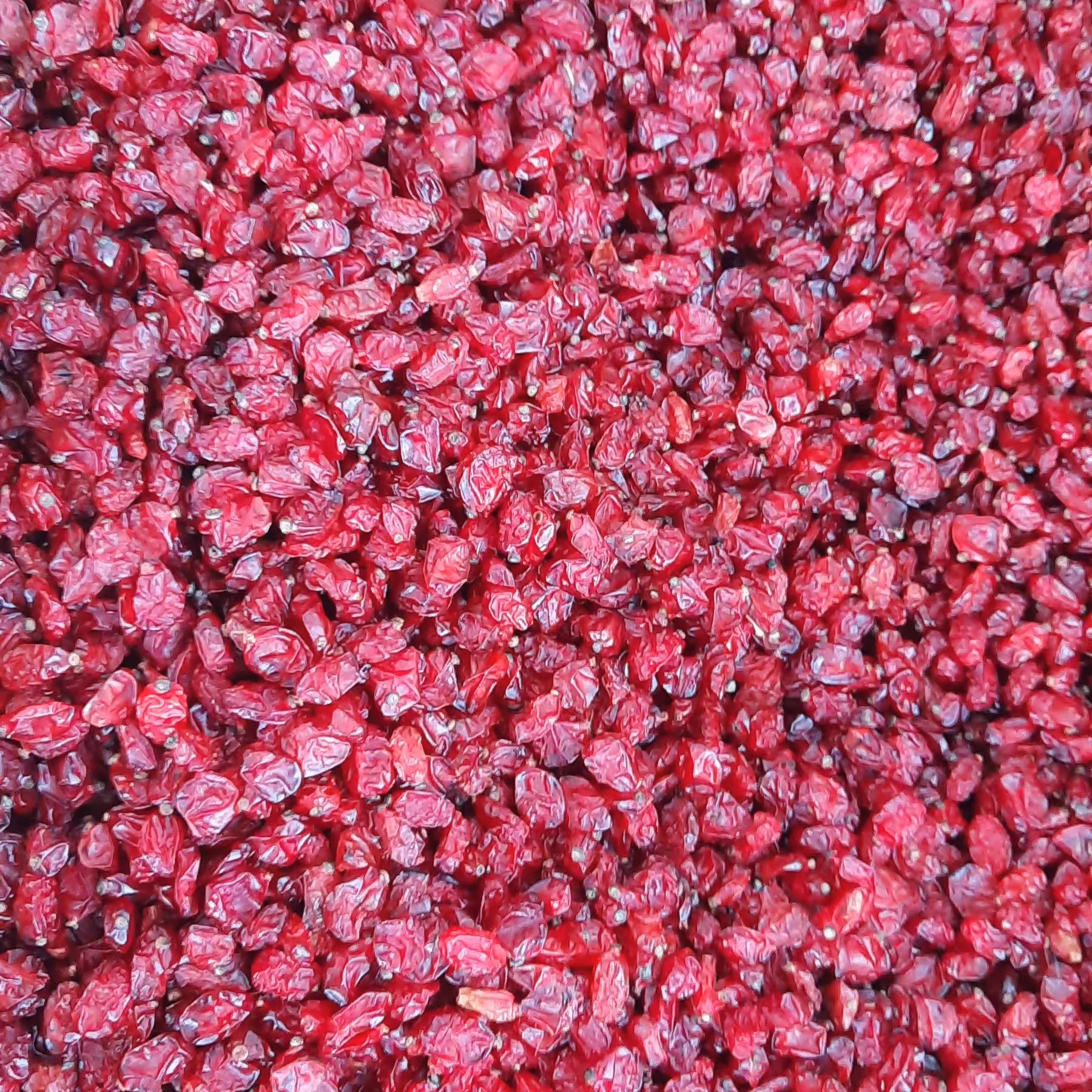 زرشک پفکی معمولی(500گرمی)