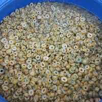 زیتون طارم اسلایس شده به قیمت عمده