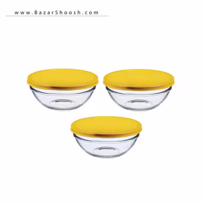 پیاله درب دار پاشاباغچه کد 53553 – 3 عددی