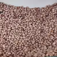 لوبیا چیتی بوجار  (دو کیلو)