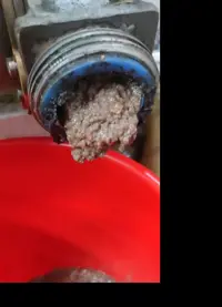 کنجاله تر زیتون همراه با برگه ازمایش 10 کیلو
