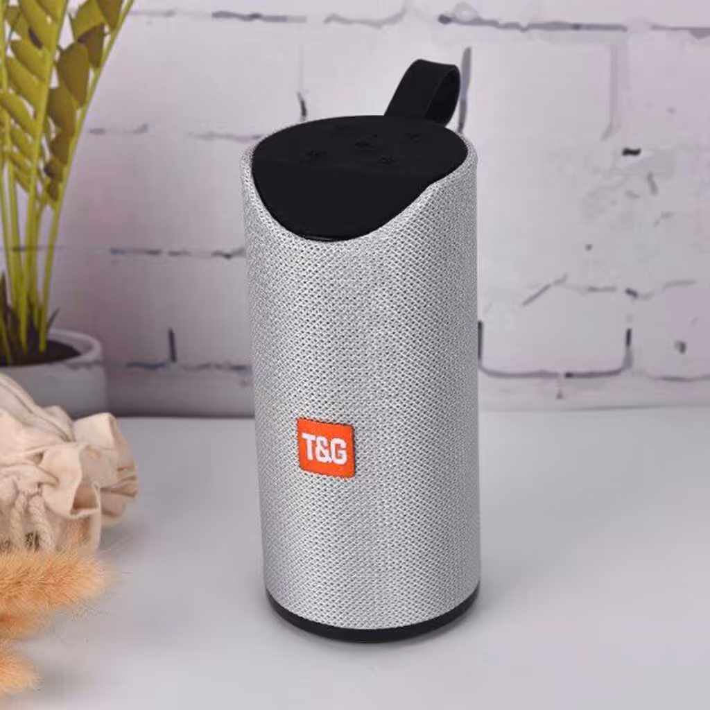 اسپیکر تی اند جی مدل TG-113