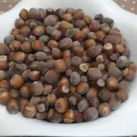 فندق تازه تازه تازه