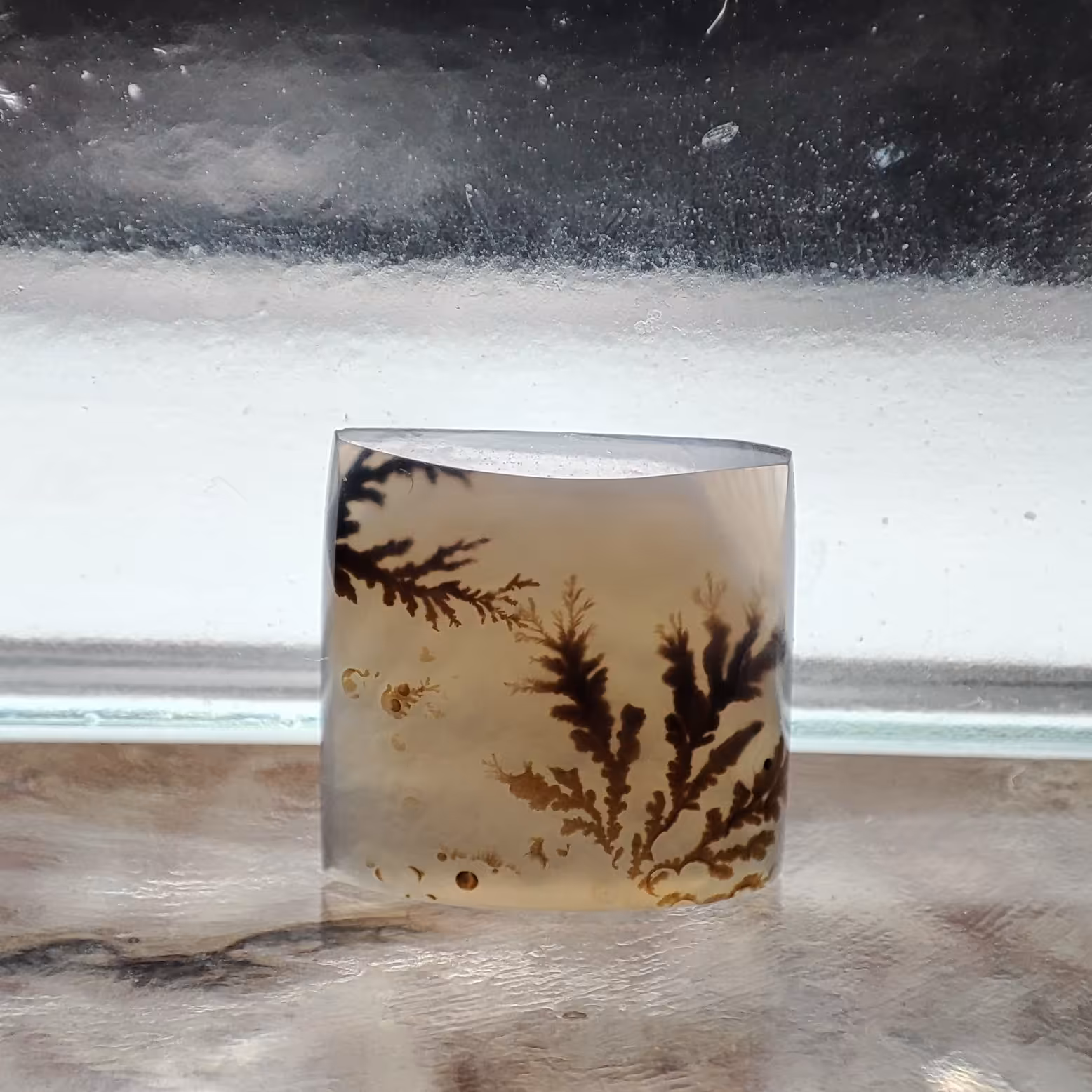 شجر قائن طبیعی و معدنی کد 594