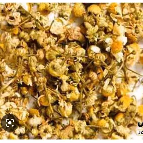گیاه اسپرک  50 گرم (التهاب پلک وگل مژه ، درد مفاصل ، رماتیسم )