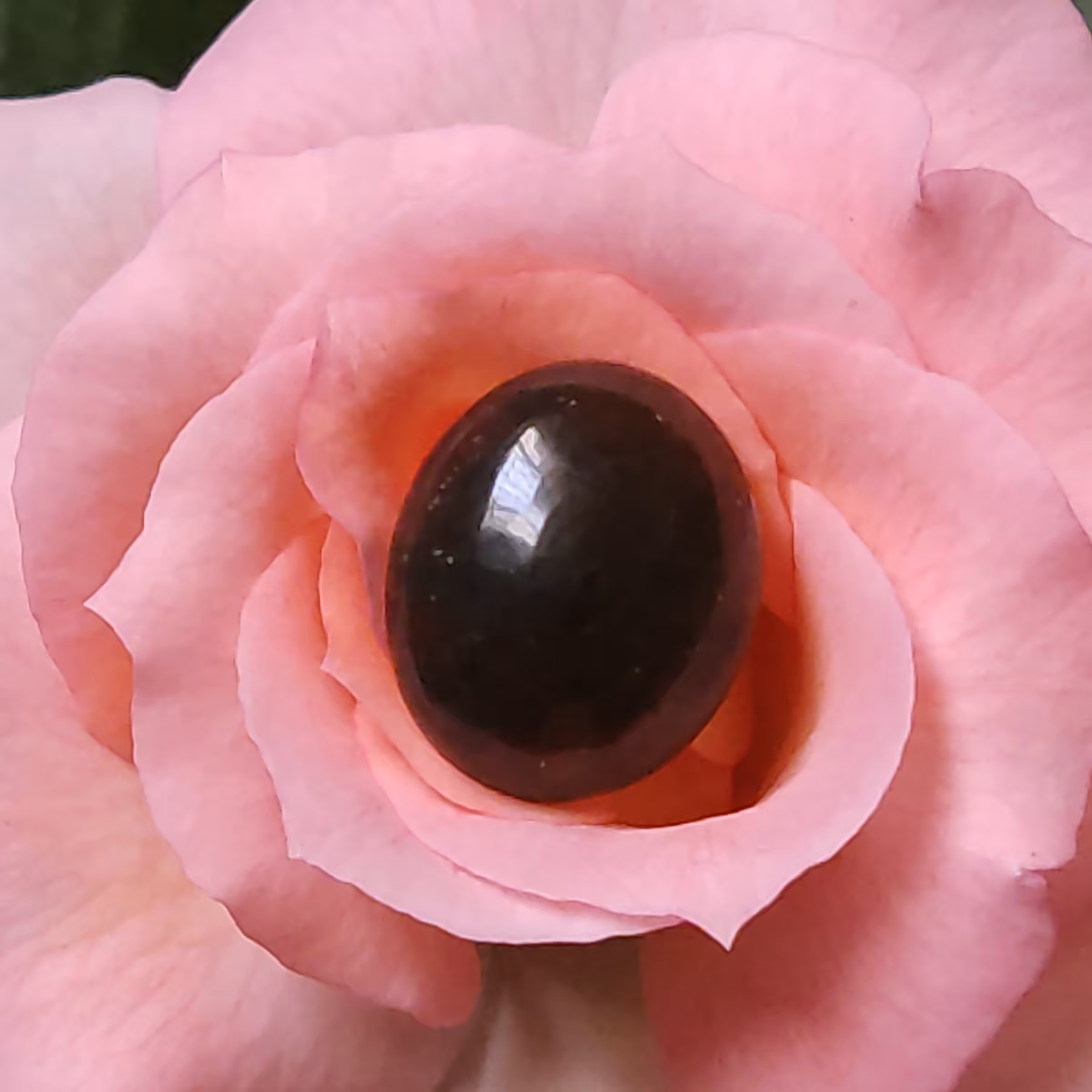 یشم کشمیر کاملا طبیعی وشفاف بدون رنگ وهیت به قیمت عمده همراه با هدیه ویژه