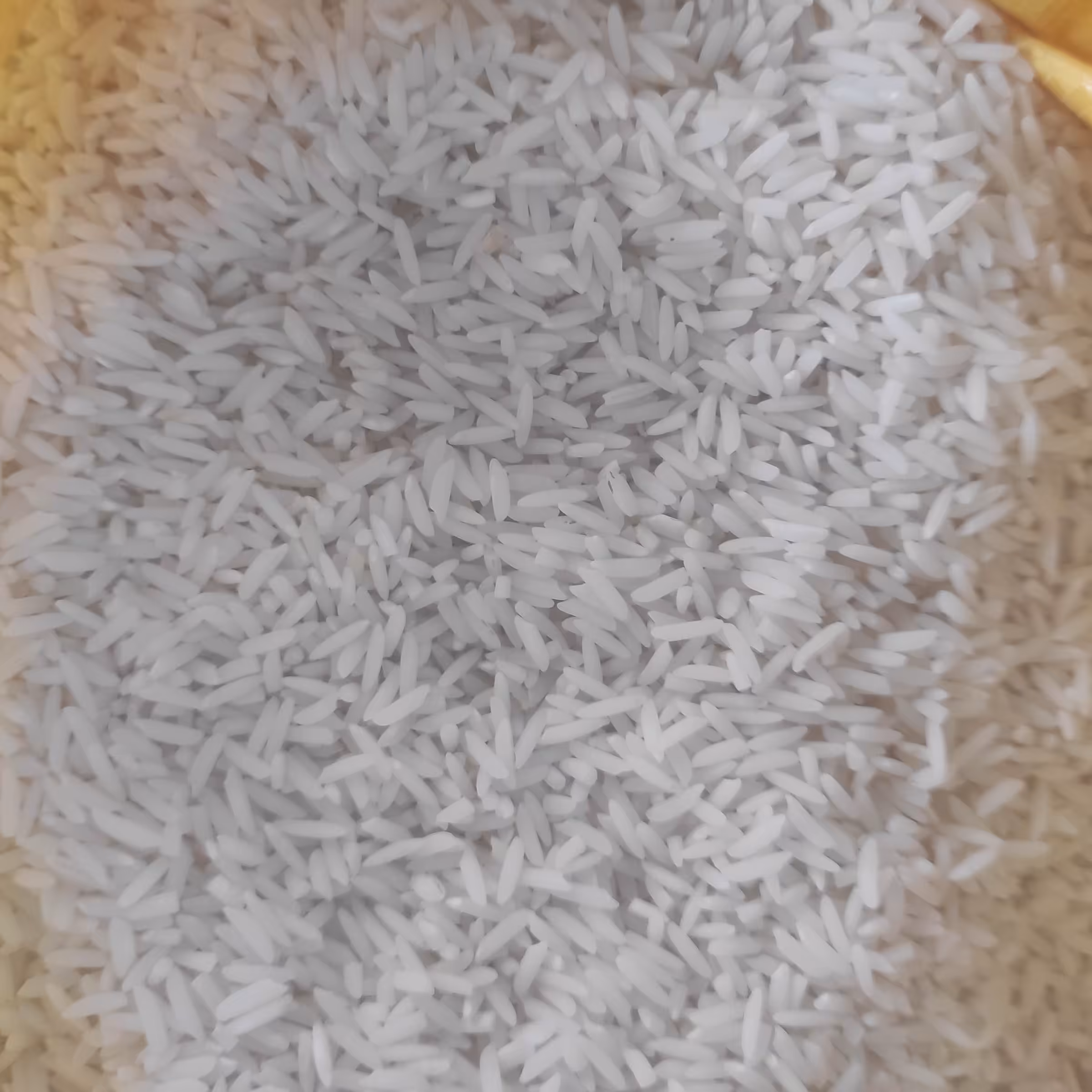 برنج هاشمی درجه یک تالش. با  کیفیت عالی . الک شده با دستگاه سورتینگ (خاک گیری و ریزه گیری شده).با عطر و طعم عالی وخوشپخت