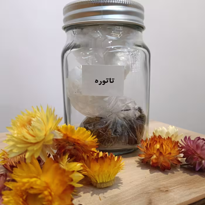 دانه تاتوره با کیفیت 50 گرمی