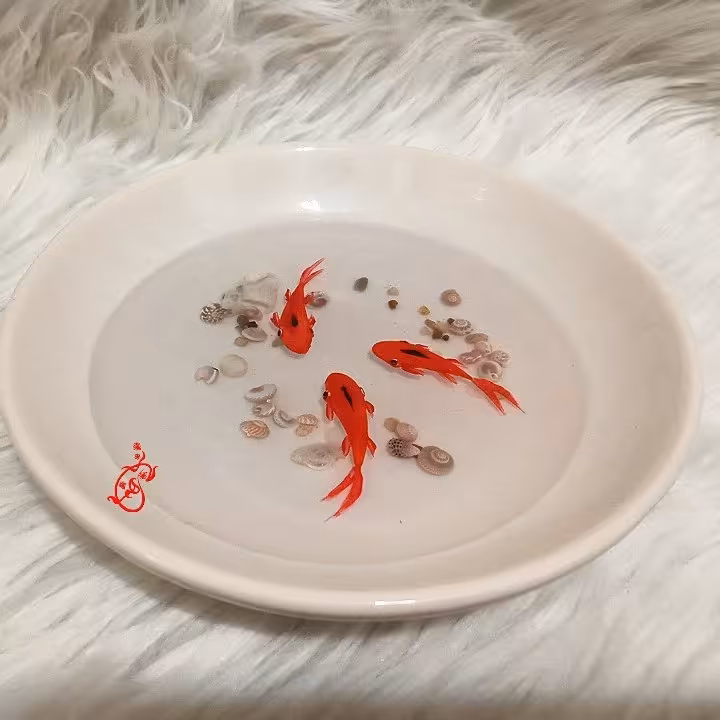 ظرف  ماهی رزینی سفید بزرگ