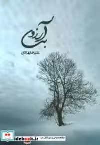 قیمت و خرید کتاب بی آرزو اثر علیرضا بهزادی | ایده بوک