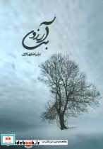 قیمت و خرید کتاب بی آرزو اثر علیرضا بهزادی | ایده بوک