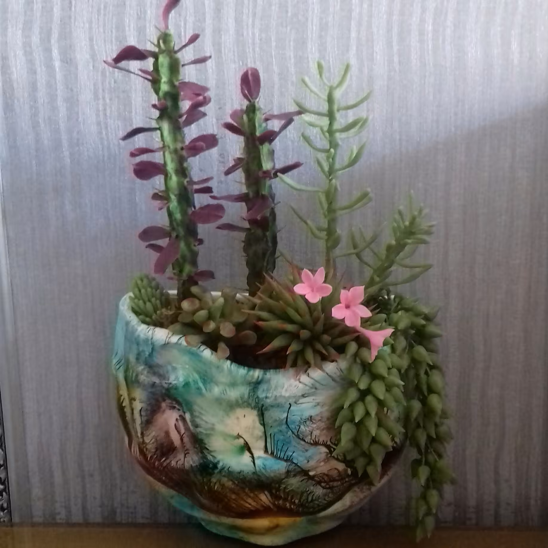 گلدان دیواری کاکتوس 28 (پس کرایه)