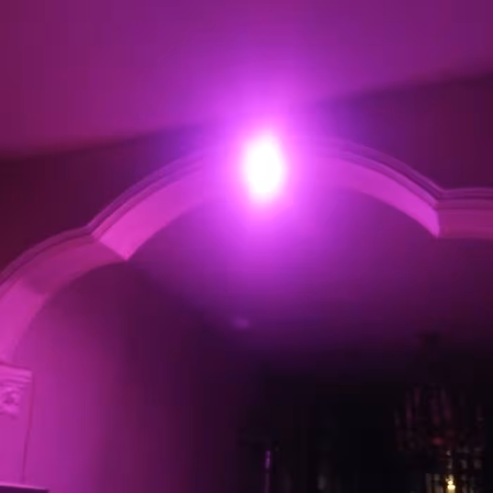 هالوژن رشد گل وگیاه