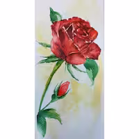 نقاشی کارت پستال آبرنگی گل رز در انواع مختلف