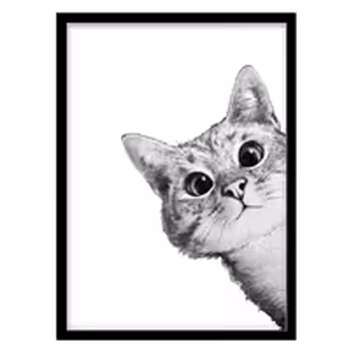 قیمت و خرید تابلو دکوراتیو مدل پوستر سیاه و سفید گربه کد 1954