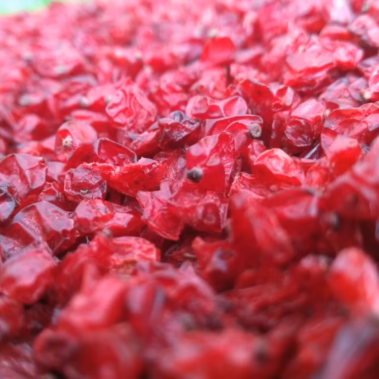 زرشک دانه اناری اعلا قائنات 1000 گرمی امسالی فوق العاده اعلا  تضمین کیفیت 