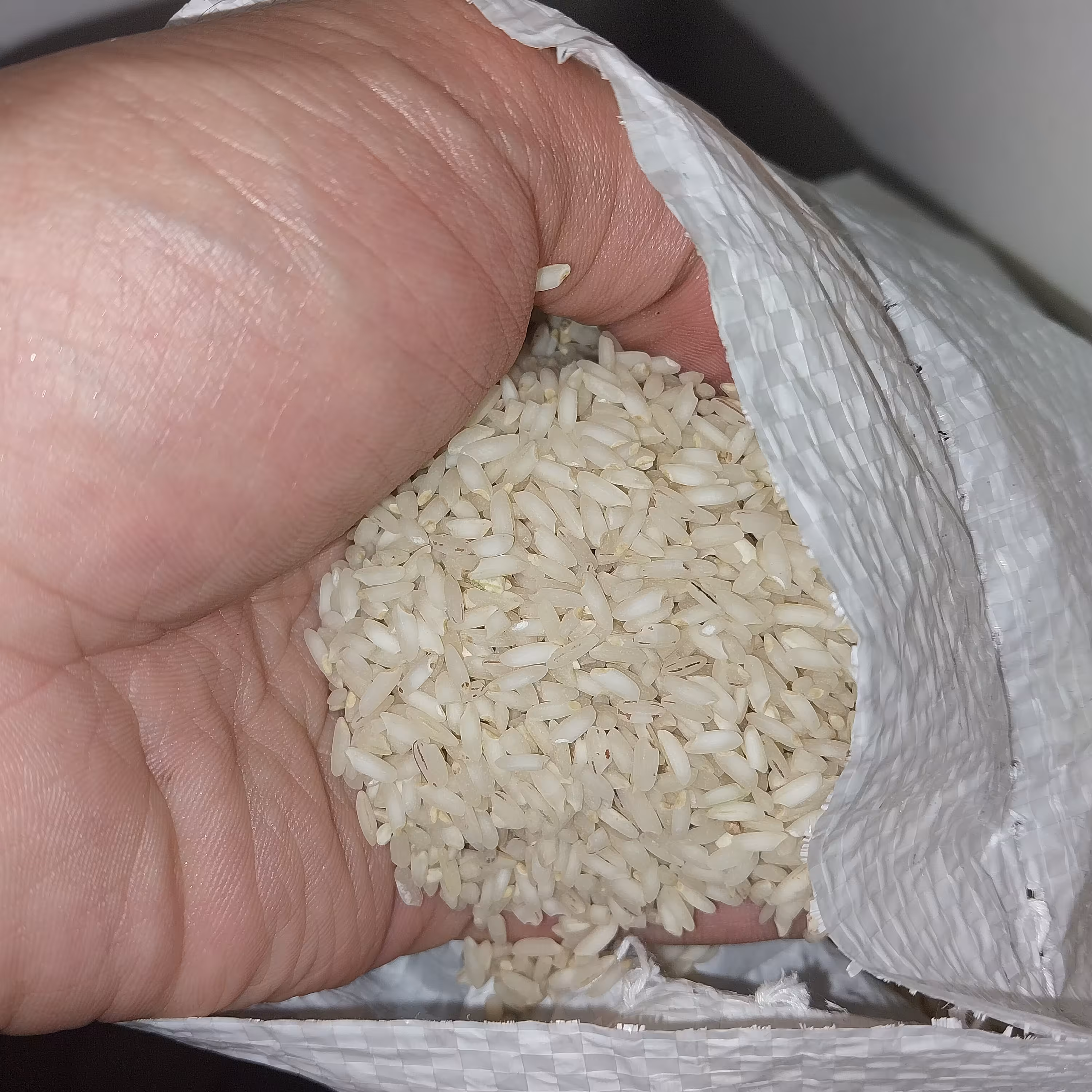 برنج عنبربو خوزستان