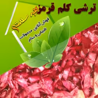 ترشی کلم قرمز با سرکه محلی