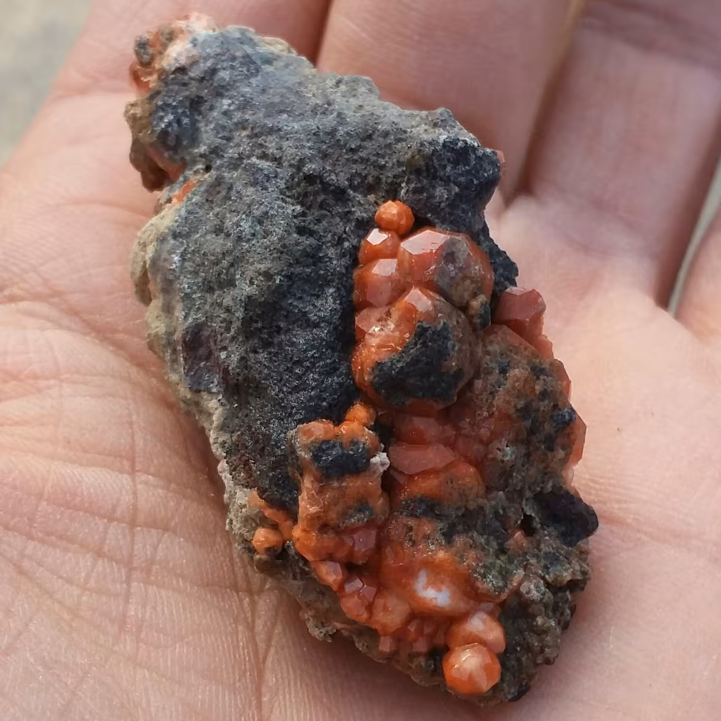 نمونه فوق کلکسیونی آنالیسم پر بلور  سرخ روی بستر محشر بسیااااار زیبا 100 در 100 طبیعی نمونه ای تکرار نشدنی و دیدنی