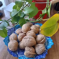 گردو سفید و پرمغز و چرب ایرانی (900 گرمی)