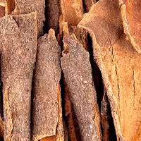 دارچین قلم اعلاء ریتا 100 گرمی