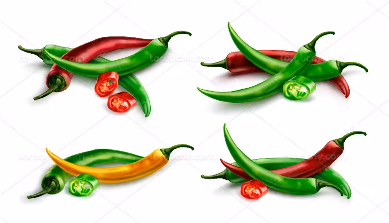 وکتور فلفل قرمز و سبز | گرافیک با طعم تربچه